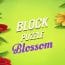 Block Puzzle Blossom